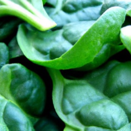 Can Eating Greens Improve Heart Health?
