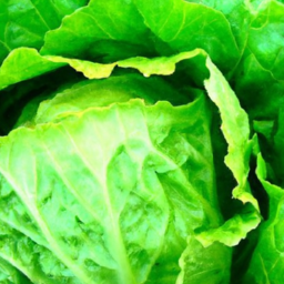 What Are The Health Benefits Of Leafy Green Vegetables?
